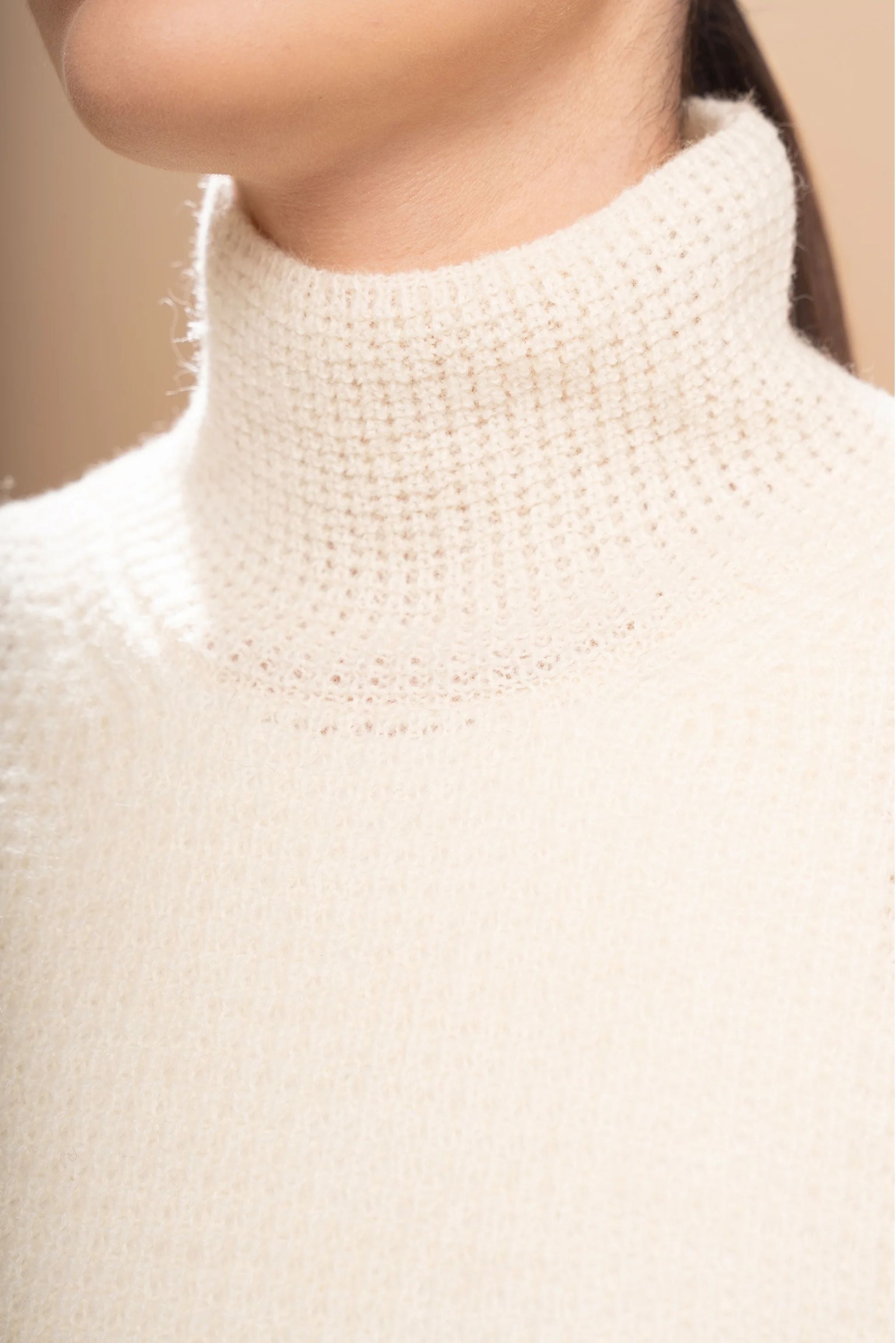 THE TURTLENECK SWEATER - ANDEALPA